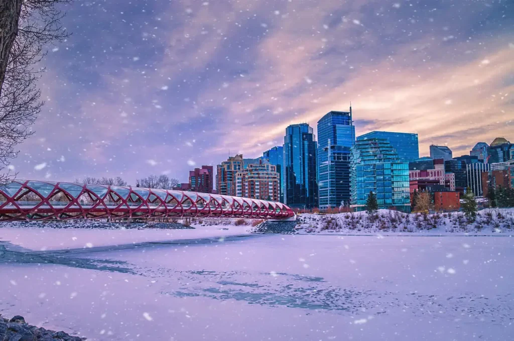 Winter Snowy day in Calgary